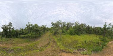 Yağmur mevsiminde bir dağ parkında tropik ağaçlarla ıssız yolların panoramik manzarası.