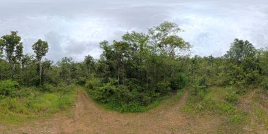 Yağmur mevsiminde bir dağ parkında tropik ağaçlarla ıssız yolların panoramik manzarası.