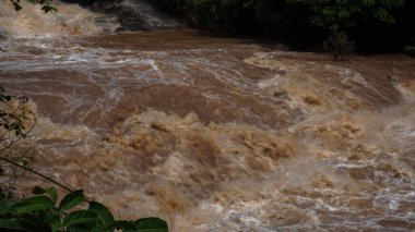 Şelalenin yanında güçlü bir akıntı. Şiddetli yağmurlardan sonra dağ nehirlerinde akan seller. Ani seller, küresel ısınmanın etkileri ve orman tahribatının etkileri.