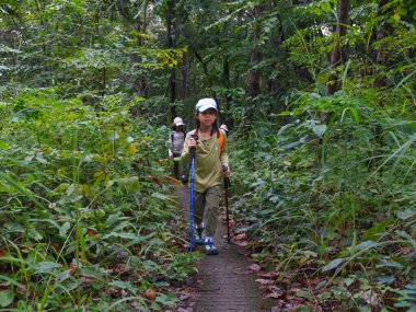 Çocuklar yağmur mevsiminde ya dağlarda ya da ormanlarda sırt çantalarıyla yürüyüş yapıyor ya da bastonlarla yürüyor..