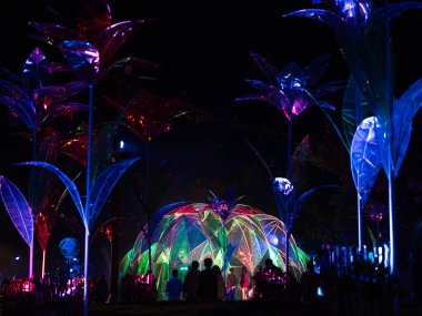 Işık ve ses gösterisi ve ASEAN Çiçek Festivali 'nde renkli çiçek bahçesi dekorasyonu, Chiang Rai Eyaleti, Tayland.