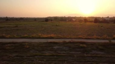 Tozlu kırsal yol manzarası. Güneşin doğuşu güzel. Sabahları sıcak turuncu ışık parlıyor. Otlaktan geçen köy yolu. Toprak bir yolda gün doğumu.