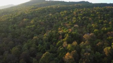 Kış dağlarında güzel bir günbatımı. Batan güneş, akşamları tropikal ağaçlarla kaplı sakin bir dağ manzarasında parlıyor..