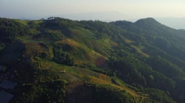 Kışın dağda güzel bir gün doğumu. Güneş, sabahın erken saatlerinde tropikal ağaçlarla kaplı sakin bir dağ manzarasında parlıyor..