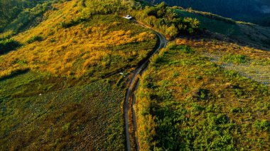 Kırsal yolda, akşamları tropikal orman ve dağlardan geçen arabanın hava görüntüsü..