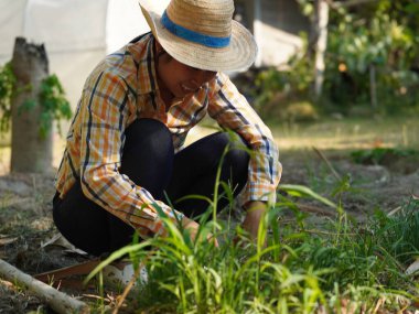 Asyalı yetişkin kadın yaz bahçesinde çalışıyor..