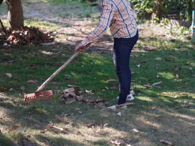 Asyalı yetişkin kadın yaz bahçesinde çalışıyor..