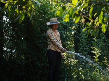 Asyalı yetişkin kadın yaz bahçesinde çalışıyor..