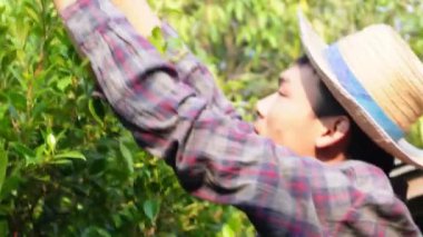 Asyalı genç adam evde bisiklet tamir ediyor. Bisiklet tamircisi bisikletleri tamir ediyor.