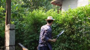 Asyalı bahçıvanlar arka bahçedeki ağaçları buduyorlar. Bir bahçıvan çiti buduyor..