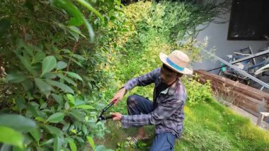 Asyalı bahçıvanlar arka bahçedeki ağaçları buduyorlar. Bir bahçıvan çiti buduyor..