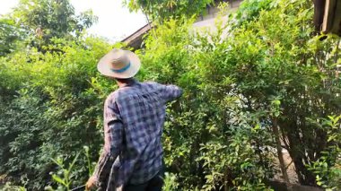 Asyalı bahçıvanlar arka bahçedeki ağaçları buduyorlar. Bir bahçıvan çiti buduyor..