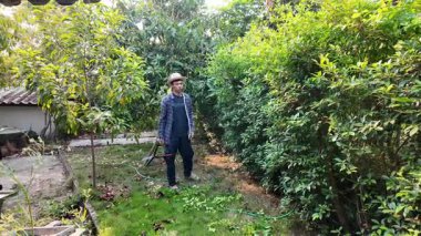 Asyalı bahçıvanlar arka bahçedeki ağaçları buduyorlar. Bir bahçıvan çiti buduyor..