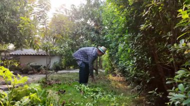 Asyalı bahçıvanlar arka bahçedeki ağaçları buduyorlar. Bir bahçıvan çiti buduyor..