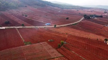 İlkbaharda traktör sürüşünün hava görüntüsü. Traktör sürücüleri ekilmiş toprağa tohum ekmek için yatak hazırlıyor..