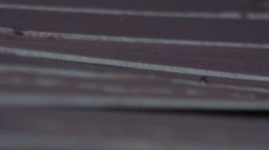 Çatı kirişleri olmayan çinko bir çatıdan yağmur yağıyor.