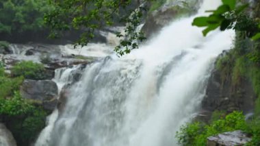 Yağmur mevsiminde güçlü bir şekilde akan ormandaki şelalenin doğası. Nehirdeki güçlü akıntı, sonbaharda sağanak yağışlardan sonra sular çamurlu oldu..
