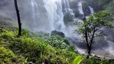Yağmur mevsiminde güçlü bir şekilde akan ormandaki şelalenin doğası. Nehirdeki güçlü akıntı, sonbaharda sağanak yağışlardan sonra sular çamurlu oldu..