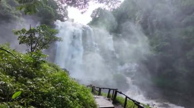 Yağmur mevsiminde güçlü bir şekilde akan ormandaki şelalenin doğası. Nehirdeki güçlü akıntı, sonbaharda sağanak yağışlardan sonra sular çamurlu oldu..