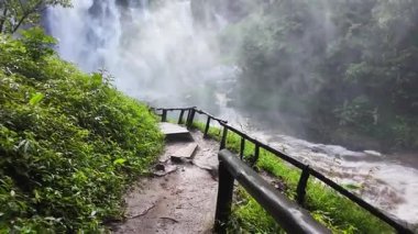 Yağmur mevsiminde güçlü bir şekilde akan ormandaki şelalenin doğası. Nehirdeki güçlü akıntı, sonbaharda sağanak yağışlardan sonra sular çamurlu oldu..