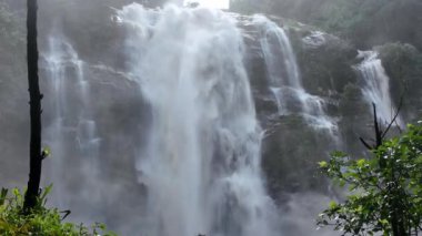 Yağmur mevsiminde güçlü bir şekilde akan ormandaki şelalenin doğası. Nehirdeki güçlü akıntı, sonbaharda sağanak yağışlardan sonra sular çamurlu oldu..