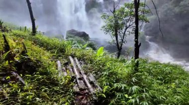 Yağmur mevsiminde güçlü bir şekilde akan ormandaki şelalenin doğası. Nehirdeki güçlü akıntı, sonbaharda sağanak yağışlardan sonra sular çamurlu oldu..