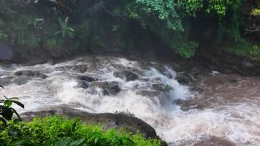 Yağmur mevsiminde güçlü bir şekilde akan ormandaki şelalenin doğası. Nehirdeki güçlü akıntı, sonbaharda sağanak yağışlardan sonra sular çamurlu oldu..