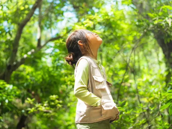 Küçük mutlu bir kız ormanı keşfediyor ve yapraklara bakıyor. Macera turizmi ve öğrenme konsepti.