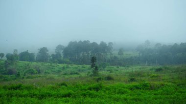 Kuzey Tayland 'daki dağlık arazide güzel bir sis manzarası. Dağların ve bulutların sisli güzel manzarası.