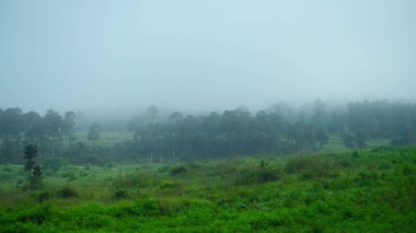 Kuzey Tayland 'daki dağlık arazide güzel bir sis manzarası. Dağların ve bulutların sisli güzel manzarası.
