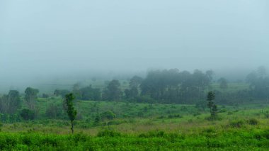 Kuzey Tayland 'daki dağlık arazide güzel bir sis manzarası. Dağların ve bulutların sisli güzel manzarası.
