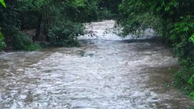 Yağmur mevsiminde güçlü bir şekilde akan ormandaki şelalenin doğası. Nehirdeki güçlü akıntı, sonbaharda sağanak yağışlardan sonra sular çamurlu oldu..