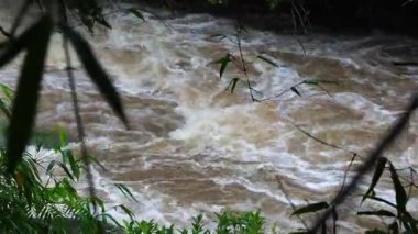 Yağmur mevsiminde güçlü bir şekilde akan ormandaki şelalenin doğası. Nehirdeki güçlü akıntı, sonbaharda sağanak yağışlardan sonra sular çamurlu oldu..