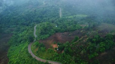 Yağmur mevsiminde sisli bir sabahta ormanla çevrili bir yolun havadan görünüşü. Görkemli sis ormanının havadan görünüşü.