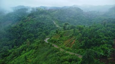 Yağmur mevsiminde sisli bir sabahta ormanla çevrili bir yolun havadan görünüşü. Görkemli sis ormanının havadan görünüşü.