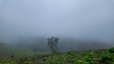 Yağmur mevsiminde dağdaki bulutların hızlandırılmış görüntüsü. Sisin içindeki dağlar.