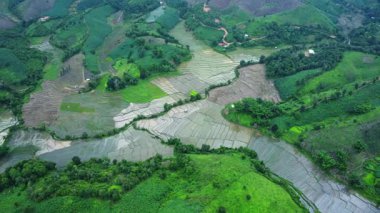 Tayland 'ın tarımsal manzarasının havadan görünüşü. Pirinç tarlaları kırsalda ekilmeyi bekliyor. Yağmur mevsiminde tarım.