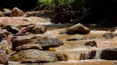 Yağmur mevsiminde güçlü bir şekilde akan ormandaki şelalenin doğası. Nehirdeki güçlü akıntı, sonbaharda sağanak yağışlardan sonra sular çamurlu oldu..
