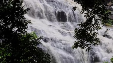 Yağmur mevsiminde güçlü bir şekilde akan ormandaki şelalenin doğası. Nehirdeki güçlü akıntı, sonbaharda sağanak yağışlardan sonra sular çamurlu oldu..