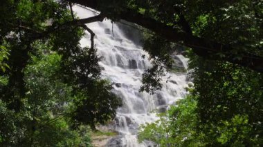 Yağmur mevsiminde güçlü bir şekilde akan ormandaki şelalenin doğası. Nehirdeki güçlü akıntı, sonbaharda sağanak yağışlardan sonra sular çamurlu oldu..