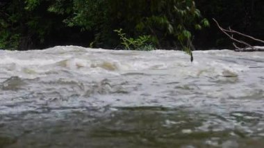 Yağmur mevsiminde güçlü bir şekilde akan ormandaki şelalenin doğası. Nehirdeki güçlü akıntı, sağanak yağmurdan sonra sular çamurlu oldu..