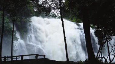Yağmur mevsiminde güçlü bir şekilde akan ormandaki şelalenin doğası. Nehirdeki güçlü akıntı, sağanak yağmurdan sonra sular çamurlu oldu..