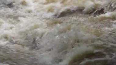 Yağmur mevsiminde yemyeşil bir ormanda çağlayan güçlü bir şelale. Nehir akıntısı güçlüdür ve şiddetli yağıştan sonra su çamurlu hale gelir. Bu da doğanın ham enerjisini gösterir.