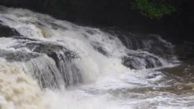 Yağmur mevsiminde yemyeşil bir ormanda çağlayan güçlü bir şelale. Nehir akıntısı güçlüdür ve şiddetli yağıştan sonra su çamurlu hale gelir. Bu da doğanın ham enerjisini gösterir.