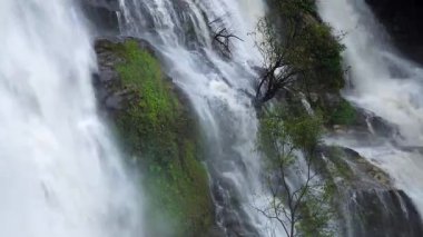 Yağmur mevsiminde yemyeşil bir ormanda çağlayan güçlü bir şelale. Nehir akıntısı güçlüdür ve şiddetli yağıştan sonra su çamurlu hale gelir. Bu da doğanın ham enerjisini gösterir.