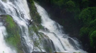 Yağmur mevsiminde yemyeşil bir ormanda çağlayan güçlü bir şelale. Nehir akıntısı güçlüdür ve şiddetli yağıştan sonra su çamurlu hale gelir. Bu da doğanın ham enerjisini gösterir.