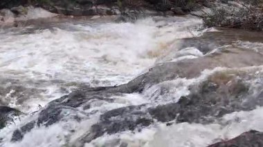 Yağmur mevsiminde yemyeşil bir ormanda çağlayan güçlü bir şelale. Nehir akıntısı güçlüdür ve şiddetli yağıştan sonra su çamurlu hale gelir. Bu da doğanın ham enerjisini gösterir.
