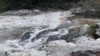 Yağmur mevsiminde yemyeşil bir ormanda çağlayan güçlü bir şelale. Nehir akıntısı güçlüdür ve şiddetli yağıştan sonra su çamurlu hale gelir. Bu da doğanın ham enerjisini gösterir.