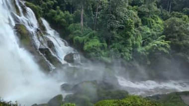 Yağmur mevsiminde yemyeşil bir ormanda çağlayan güçlü bir şelale. Nehir akıntısı güçlüdür ve şiddetli yağıştan sonra su çamurlu hale gelir. Bu da doğanın ham enerjisini gösterir.