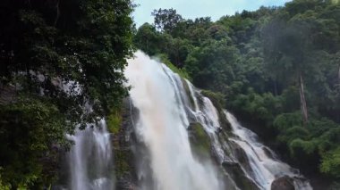 Yağmur mevsiminde yemyeşil bir ormanda çağlayan güçlü bir şelale. Nehir akıntısı güçlüdür ve şiddetli yağıştan sonra su çamurlu hale gelir. Bu da doğanın ham enerjisini gösterir.
